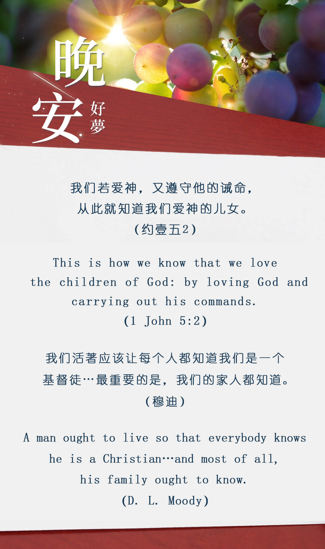 11月晚安問候卡